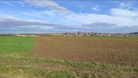 Wandernde Wiese - Wiesenstreifen und Einkornreihen auf Ackerstreifen 07.11.2021